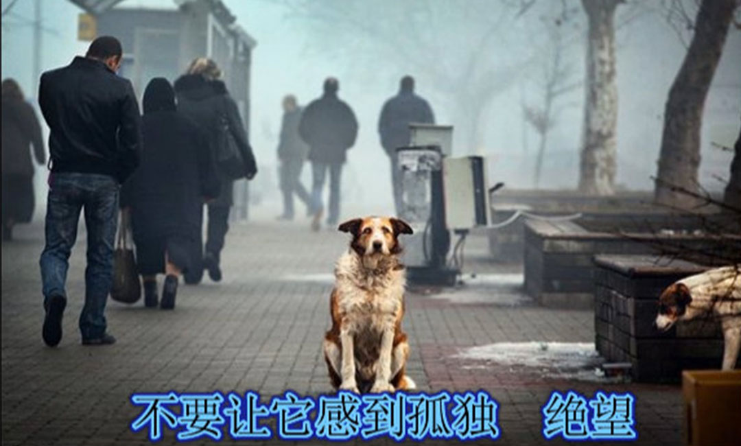 汉中汉中爱影圈微博微信转发案例